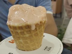 -野人先生Gelato(上海长宁龙之梦店)
