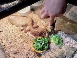 -酷嗒动物文化乐园(cutezoo西溪乐天城店)