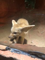 -酷嗒动物文化乐园(cutezoo西溪乐天城店)