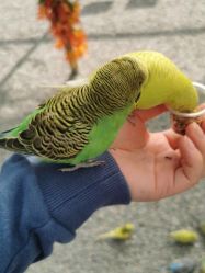 -萌宠亲子动物乐园(槐房万达店)