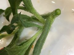 -众善素食(佛平五路店)