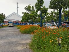 -上海长兴岛郊野公园