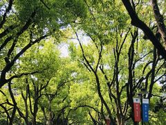 -浙江大学(玉泉校区)