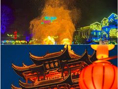 -武汉园博园(武汉自然博物馆)