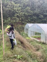-金芙美月子中心(财富别墅店)