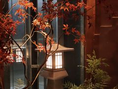 -椿杨樘·明康泡浴养生馆(重庆店)