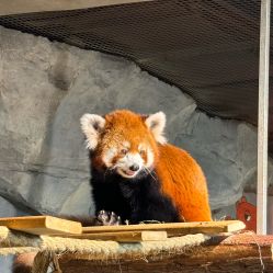 -Zoolung Zoolung动物主题公园(海信广场店)