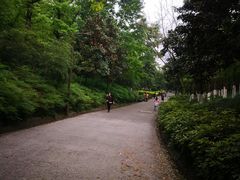-重庆彩云湖湿地公园