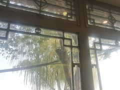 -同和居(什刹海店)