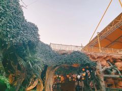 -横店影视城梦幻谷园区