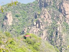 -大岭沟猕猴桃谷风景区