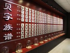 -青岛贝壳博物馆