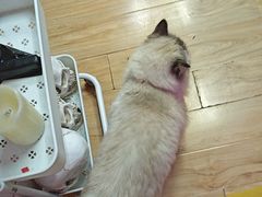 -剧狐剧本杀·月球探案馆(人民广场1号店)