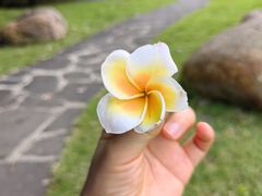 -广西壮族自治区药用植物园