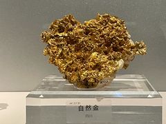 -中国地质博物馆