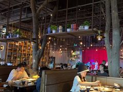 -同仁四季椰子鸡(宝安壹方城店)