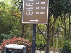 -三林塘老街