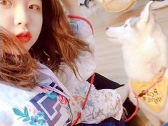 -Husky Go! 哈士奇体验馆·宠物咖啡厅狗咖