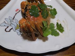 -呼吸森林·生态农庄农家乐私房菜