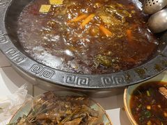 -费明中罗非鱼(大石坝店)