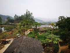 景观位-天强农家菜馆