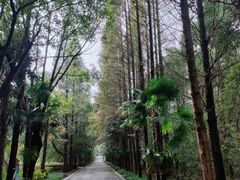 -同里国家湿地公园