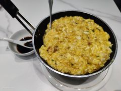 -丁老爷子苏香圆