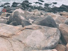 -广东惠东海龟国家级自然保护区