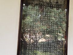 -水绘园