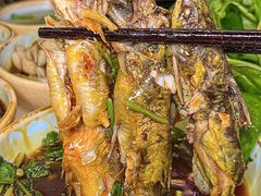 -费明中罗非鱼(大石坝店)