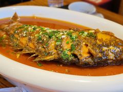 -老雒阳面馆·水席·洛阳菜(王城路店)
