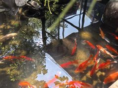 -野蔓果·山野菜(西湖景区·龙井茶田店)