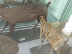 -北京中医药大学-中医药博物馆
