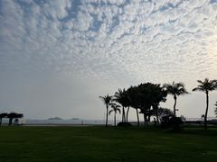 -采粤轩中餐厅(惠州金海湾喜来登度假酒店)