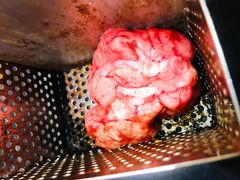 猪脑花-沸炉重庆老火锅(军事博物馆店)