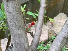 -驿舍·民國老营房院子私房菜(科学会堂店)