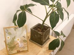 -团子君寿司·茶