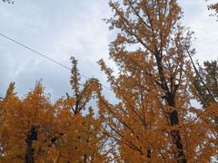 -百林公园-两江幸福广场