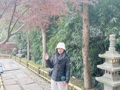 -庆春朴门