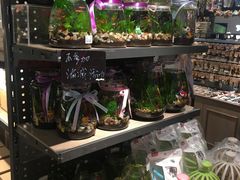 -酷乐潮玩(城西银泰城店)