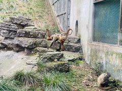 -宁波野生动物园