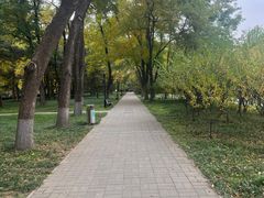 -玲珑塔公园