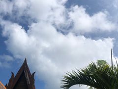 -三亚亚龙湾雅高铂尔曼别墅度假酒店