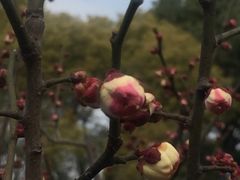 -汉水公园