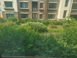 点击看大图 -芙蓉花月子会所(朝阳区店)