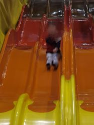 -卡通尼·Safari非洲探索乐园·生日会(金桥国际商业广场店)