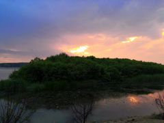 -丁香湖公园