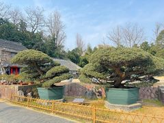 -水绘园