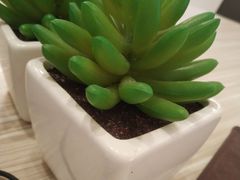 -必胜客(桐乡吾悦广场店)