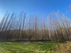 -百里山水画廊乌龙峡谷